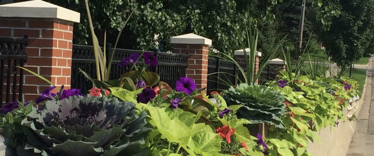 Downtown DeWitt Farmers Market