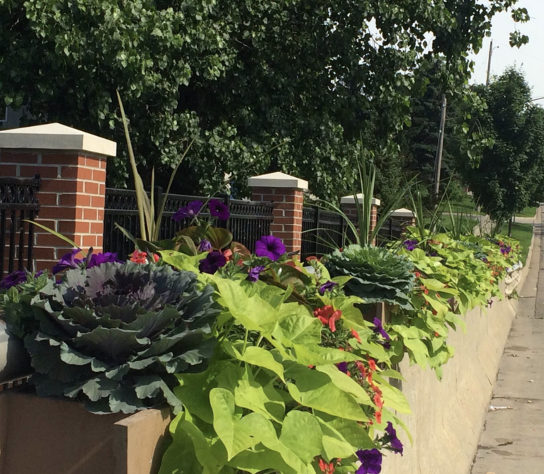 Downtown DeWitt Farmers Market