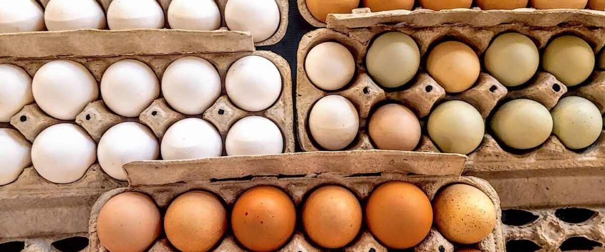 Thomas Township Farmers Market
