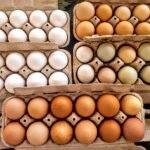 Thomas Township Farmers Market
