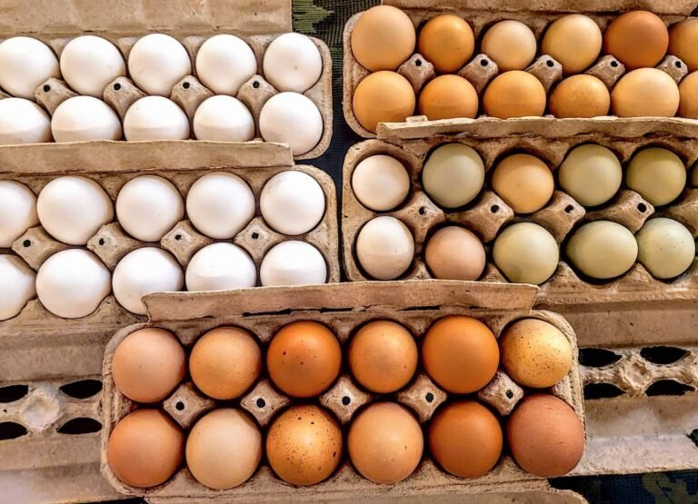 Thomas Township Farmers Market
