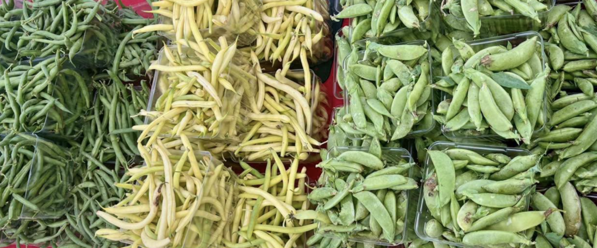 Saline Farmers Market
