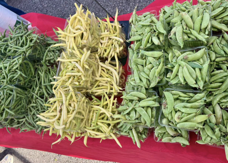 Saline Farmers Market