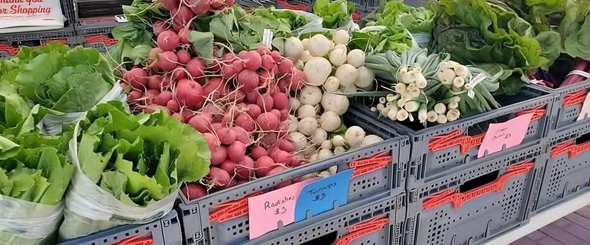 Belleville Farmers Market