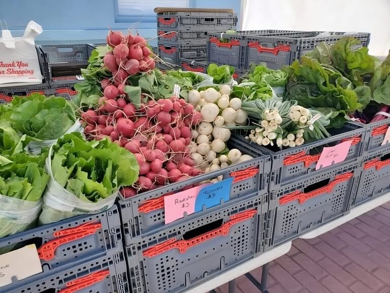 Belleville Farmers Market