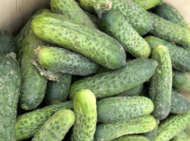Edmore Farmers Market