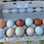 Rogers City Farmers Market