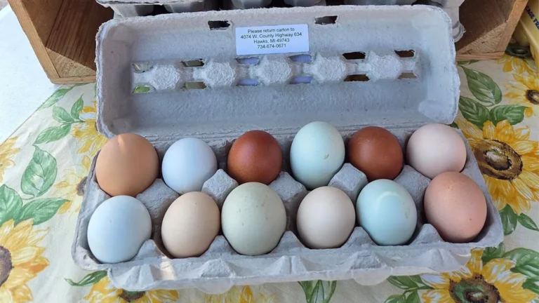 Rogers City Farmers Market
