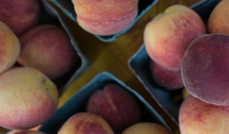 Empire Farmers Market