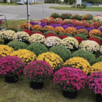 Evart Farmers’ Market
