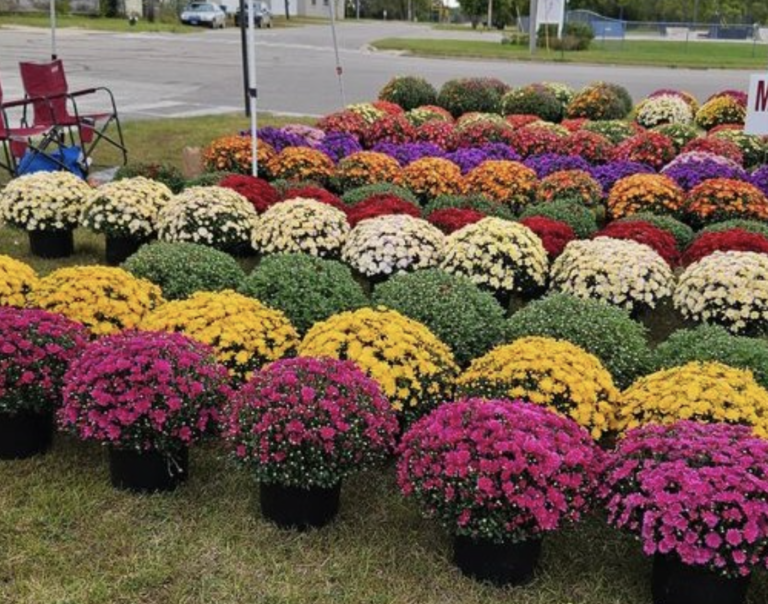 Evart Farmers’ Market