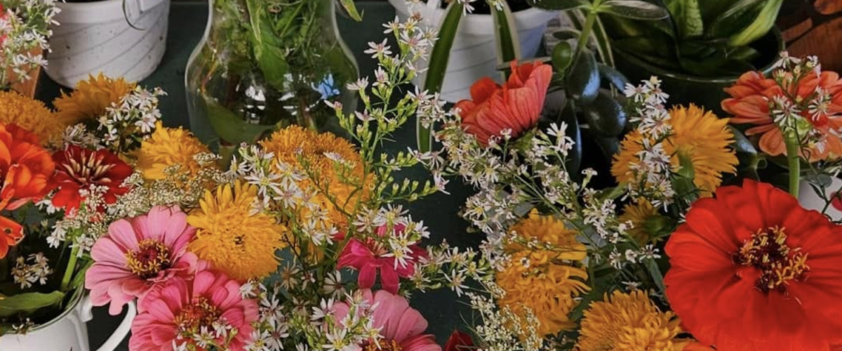 Village of Farwell Farmers Market