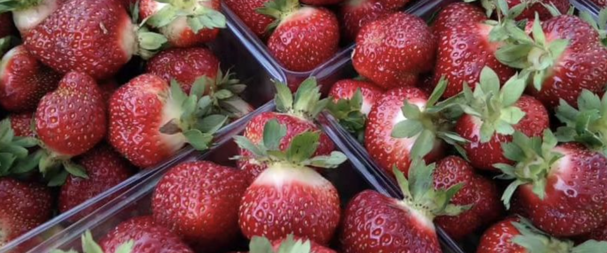 Houghton Farmers Market