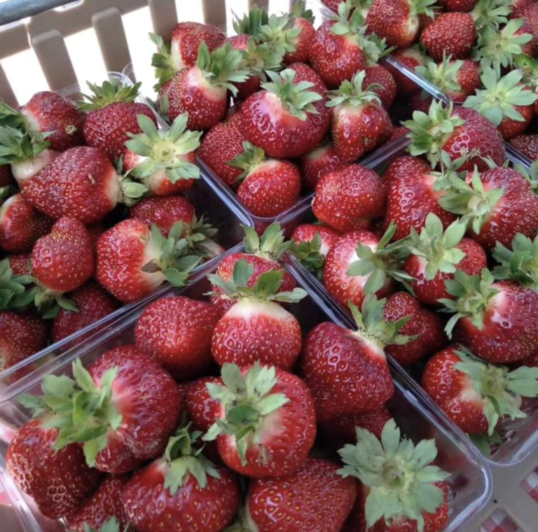 Houghton Farmers Market