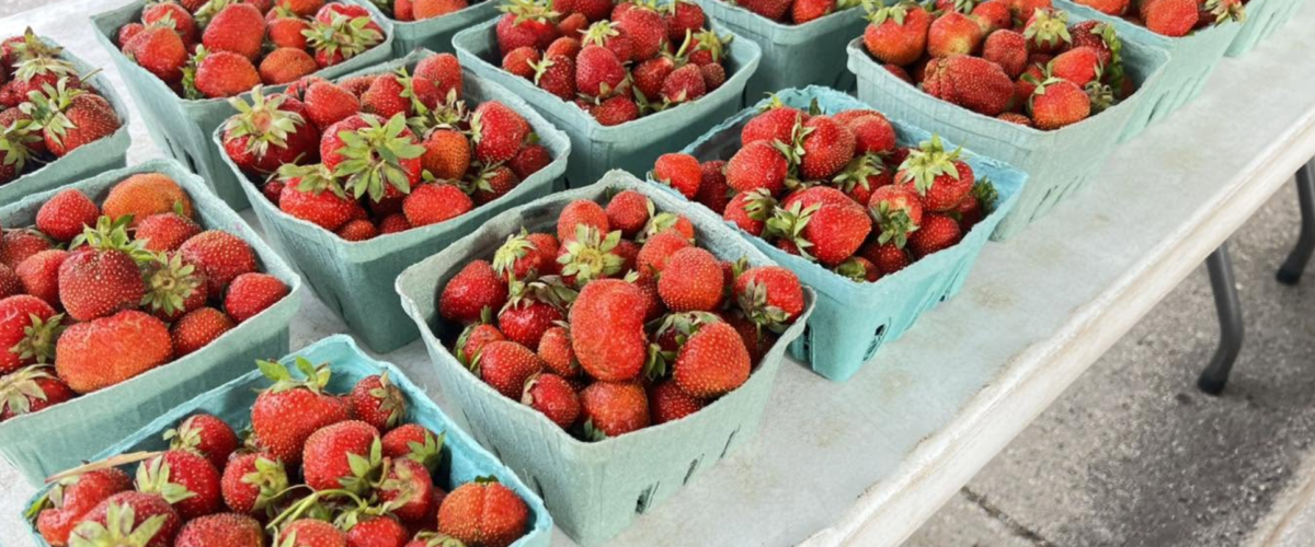 Grand Haven Farmers Market
