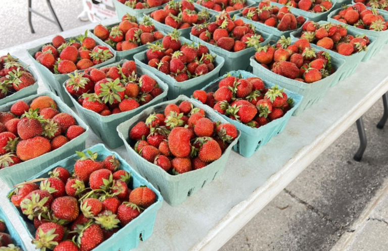 Grand Haven Farmers Market