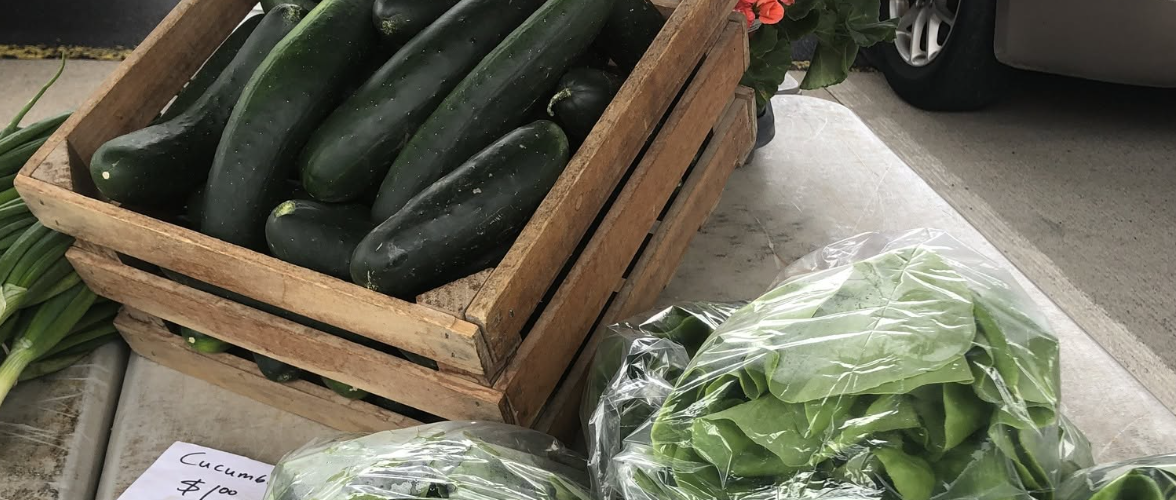 Ithaca Farmers Market