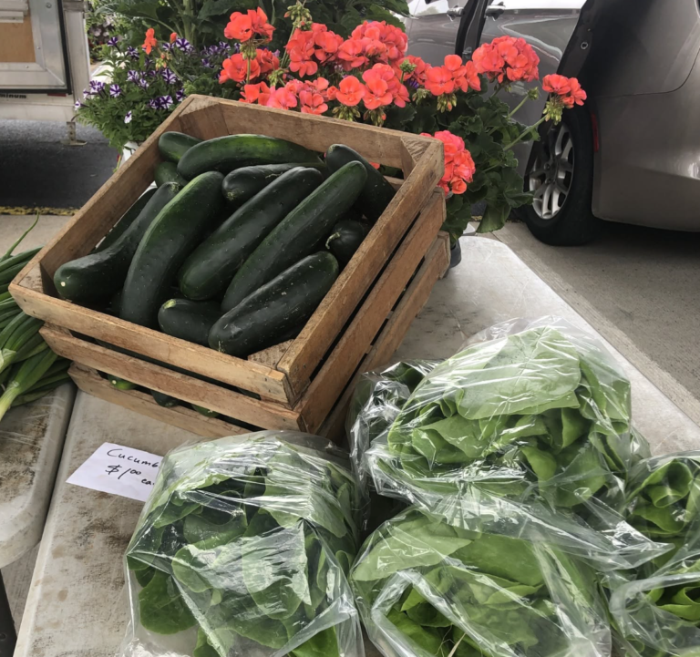 Ithaca Farmers Market