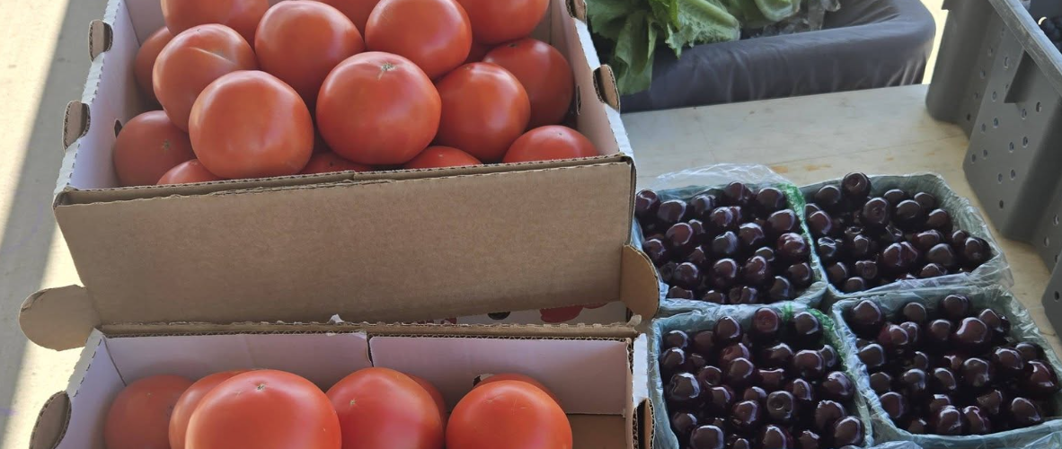 Imlay City Farmers Market
