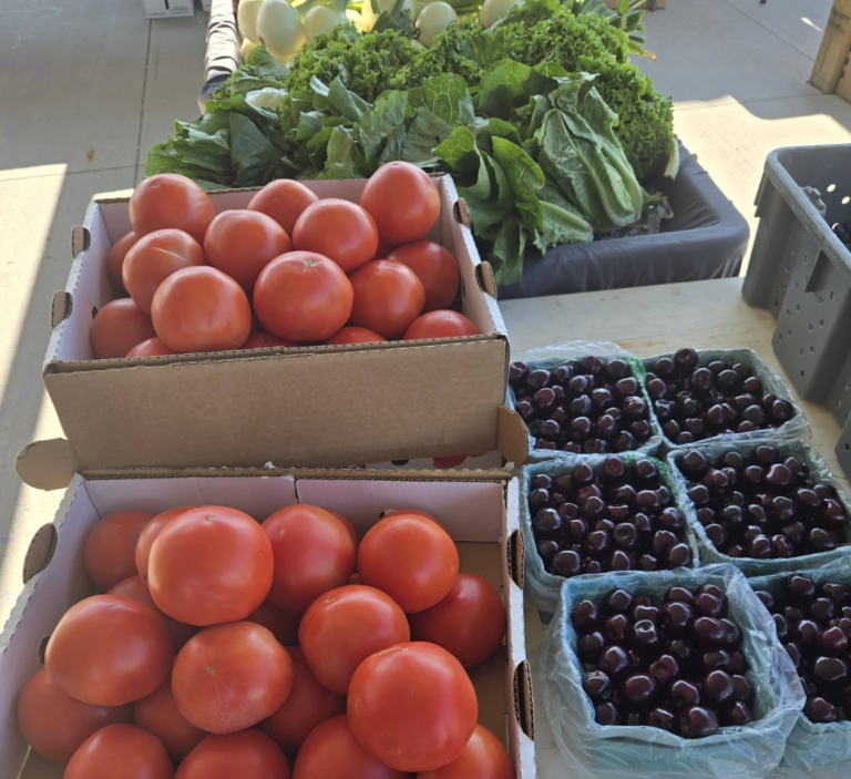 Imlay City Farmers Market
