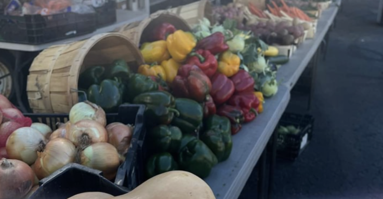 Dimondale Farmers Market