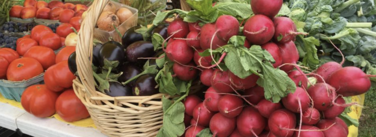 Dixboro Farmers Market