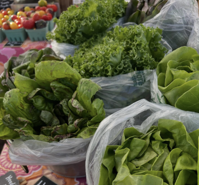 Suttons Bay Farmers Market