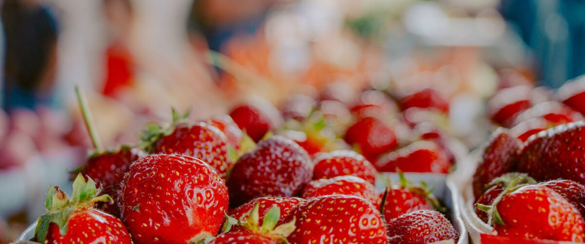 Terra Square Farmers Market