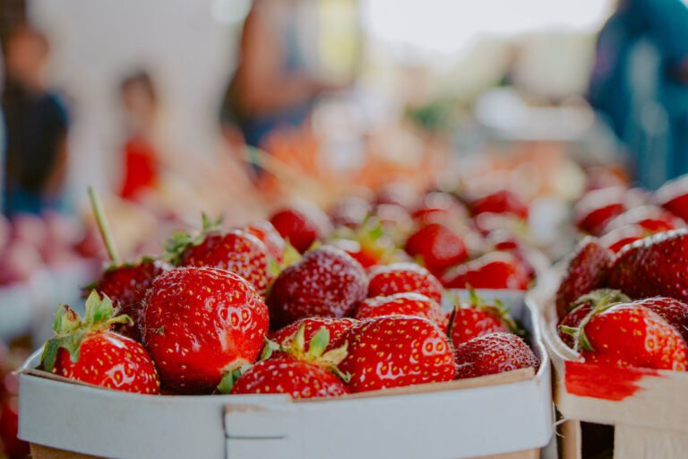Terra Square Farmers Market