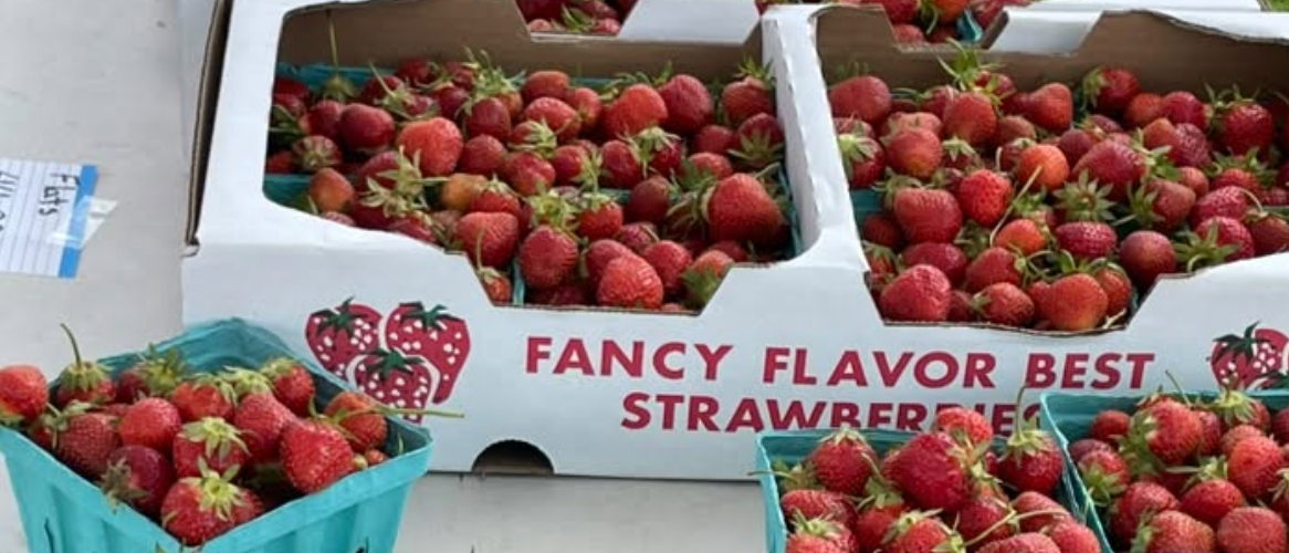 Ionia Farmers’ Market