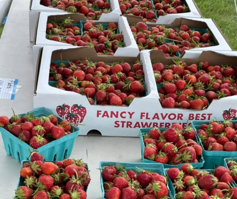 Ionia Farmers’ Market