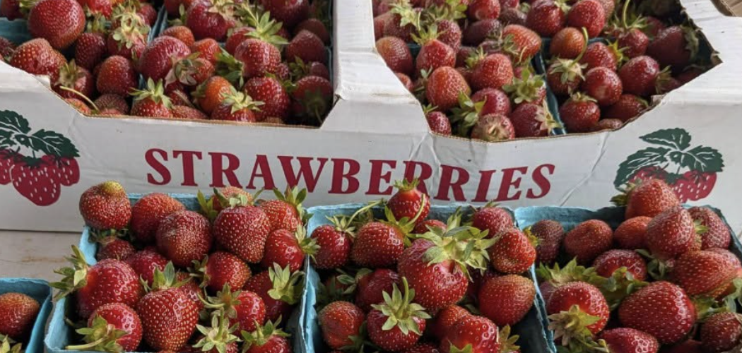 South Lansing Farmers Market
