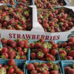 South Lansing Farmers Market