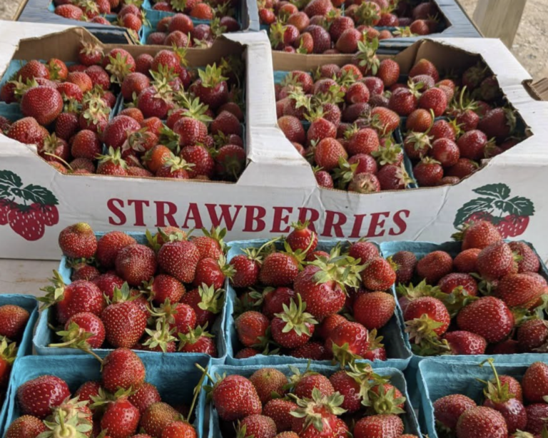 South Lansing Farmers Market