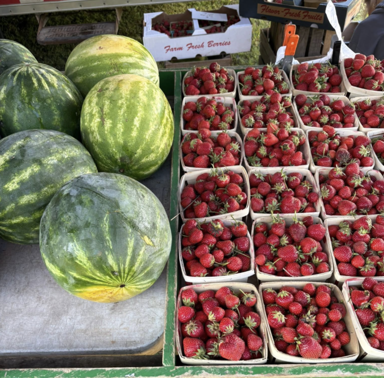 Waukazoo Market