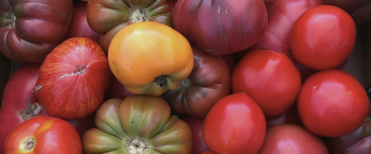 Elberta Community Farmers Market Frankfort