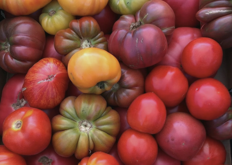 Elberta Community Farmers Market Frankfort