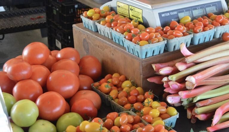 South Haven Farmers Market