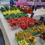 West Branch Farmers Market
